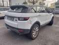 Land Rover Range Rover Evoque 2000cc Weiß - thumbnail 3