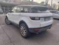 Land Rover Range Rover Evoque 2000cc Weiß - thumbnail 4
