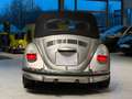 Volkswagen Käfer Cabrio Gris - thumbnail 4