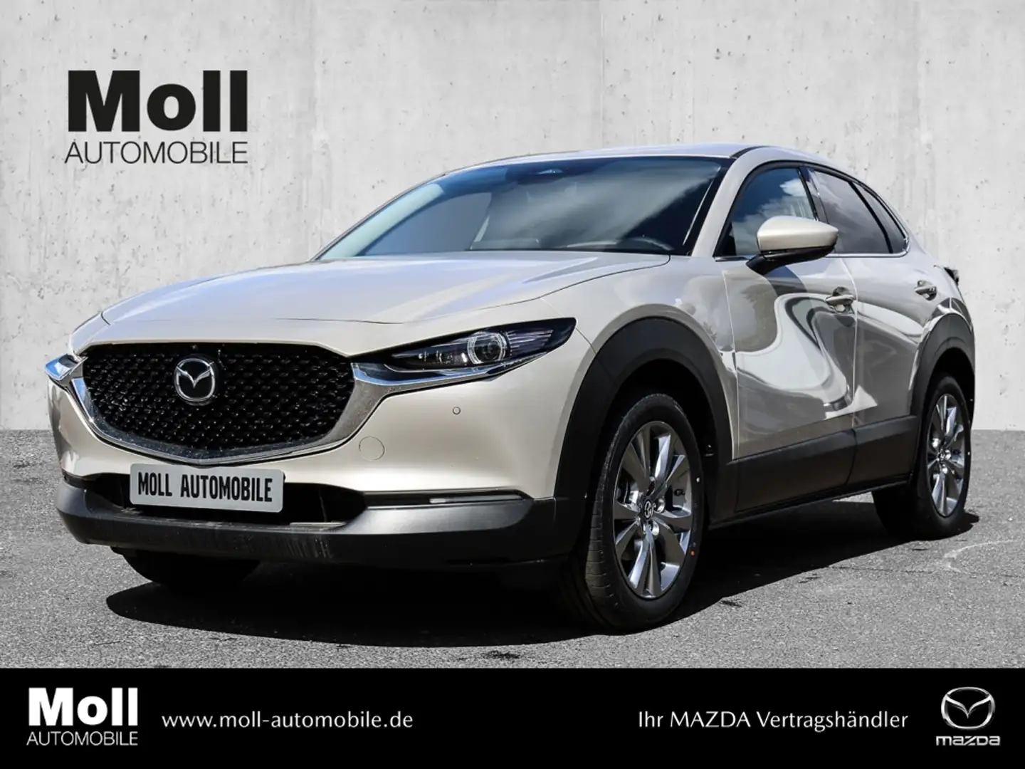 Mazda CX-30 e-SKYACTIV G 150PS 6MT FWD Exclusive Leder BOSE LE Beige - 1
