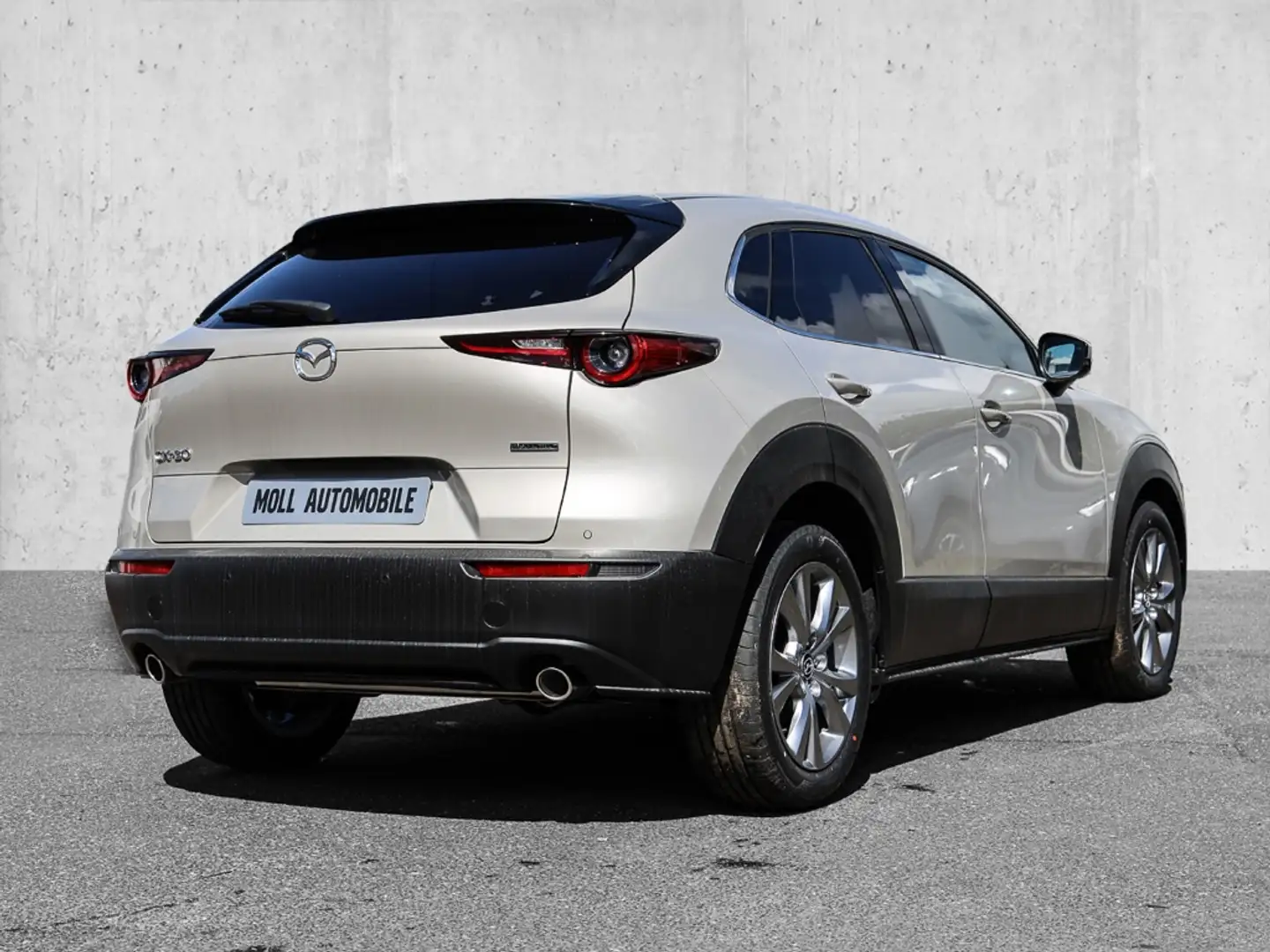 Mazda CX-30 e-SKYACTIV G 150PS 6MT FWD Exclusive Leder BOSE LE Beige - 2