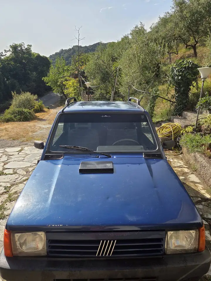 Fiat Panda I 1998 1.1 Country Club 4x4, foto 2