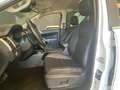 Ford Ranger 2.0 TDCi  Limited 5 posti - IVA ESCLUSA White - thumbnail 24