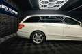 Mercedes-Benz E 220 T CDI BlueEfficiency Avantgarde *Bi-Xenon* Weiß - thumbnail 13