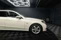 Mercedes-Benz E 220 T CDI BlueEfficiency Avantgarde *Bi-Xenon* Weiß - thumbnail 14