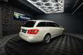 Mercedes-Benz E 220 T CDI BlueEfficiency Avantgarde *Bi-Xenon* Weiß - thumbnail 16
