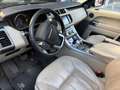 Land Rover Range Rover Sport 3.0 tdV6 SE auto - thumbnail 8
