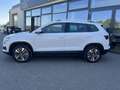 Skoda Karoq 1,0 TSI Selection Weiß - thumbnail 3