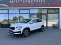 Skoda Karoq 1,0 TSI Selection Weiß - thumbnail 1