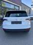 Skoda Karoq 1,0 TSI Selection Weiß - thumbnail 4