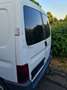 Peugeot Partner 190 C D 70 - thumbnail 11
