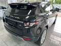 Land Rover Range Rover Evoque Evoque 2.2Td4*DYNAMIC*BI-XEN*LEDR*TEMP*KAME*1-HD Zwart - thumbnail 7
