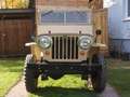 Jeep Willys - thumbnail 2