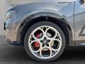 Alfa Romeo Tonale Edizione Speciale 1.3 T4 PHEV 280 VGT e-AWD Grau - thumbnail 12