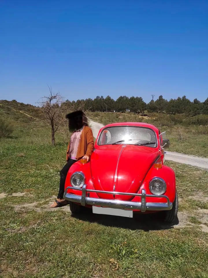 Volkswagen Beetle, foto 4