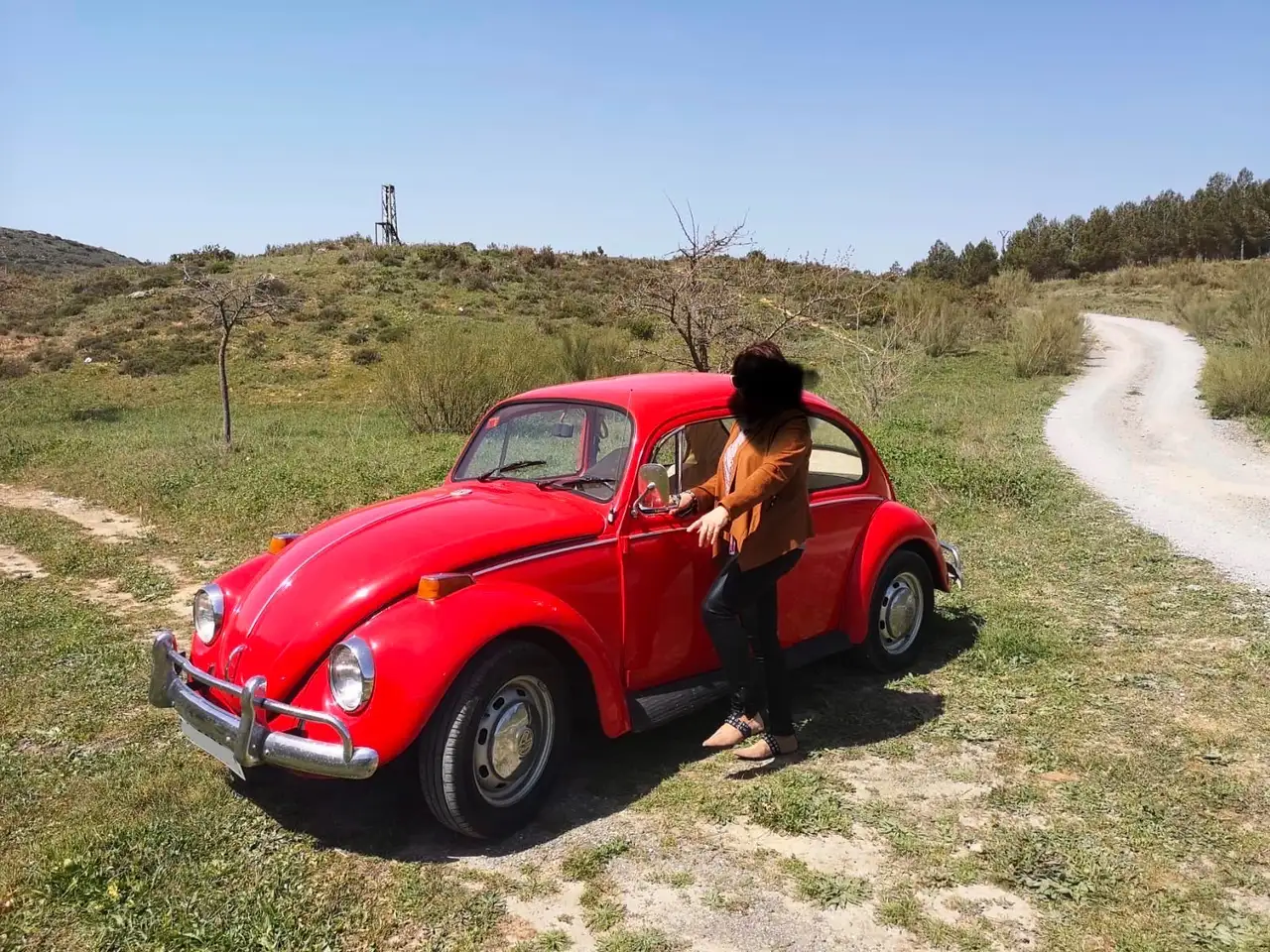 Volkswagen Beetle, foto 1