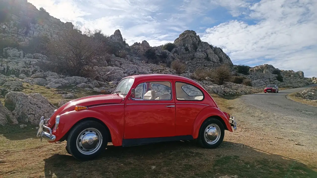Volkswagen Beetle, foto 2