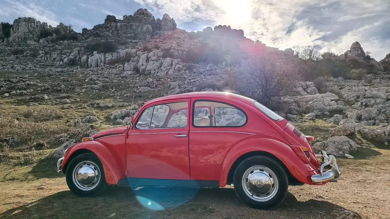 Volkswagen Beetle, foto 3