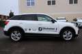 Audi Q2 30 TDI advanced DSG*NAVI*GRA*SHZ*PDC Weiß - thumbnail 5