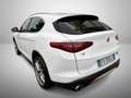 Alfa Romeo Stelvio 2.2 Turbodiesel 190 CV AT8 Q4 Executive Bianco - thumbnail 4