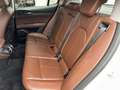 Alfa Romeo Stelvio 2.2 Turbodiesel 190 CV AT8 Q4 Executive Bianco - thumbnail 12