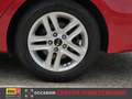 Kia Ceed SW / cee'd SW 1.0 T-GDi 120pk DynamicPlusLine | Stuur+Stoel verw Roşu - thumbnail 14