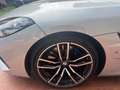 BMW Z4 sdrive 20i Msport auto - Tagliandi BMW Argento - thumbnail 13