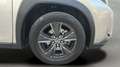 Lexus UX 250h Business 2WD Gris - thumbnail 19