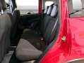 Fiat Panda III 2024 Cross 1.0 firefly hybrid (Red) AZIENDALE Rosso - thumbnail 11
