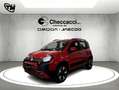 Fiat Panda III 2024 Cross 1.0 firefly hybrid (Red) AZIENDALE Rosso - thumbnail 1