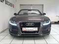 Audi A5 A5 Cabrio 3.2 FSI Quattro S Tronic Audi Exclusive Grau - thumbnail 3