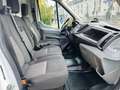 Ford Transit Kasten 290 L2 *Klima - Inspektion Neu* Weiß - thumbnail 11