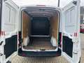 Ford Transit Kasten 290 L2 *Klima - Inspektion Neu* Weiß - thumbnail 9