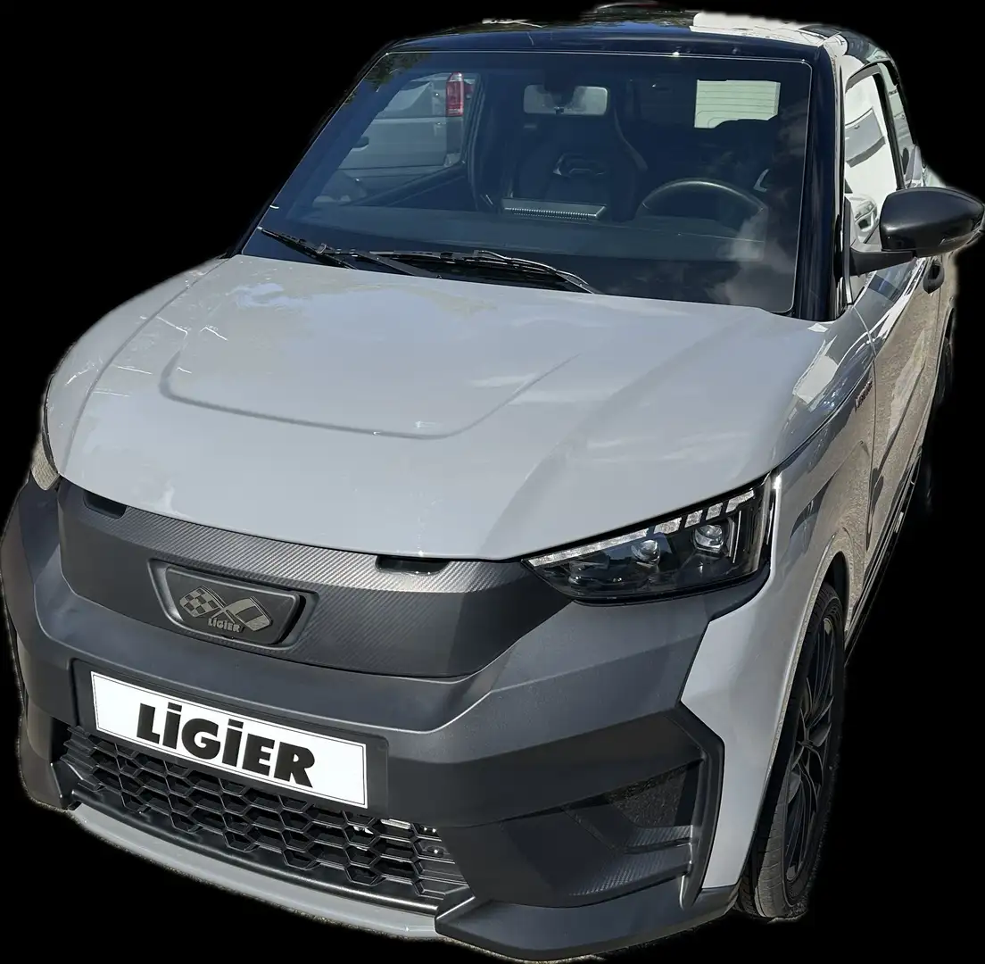 Ligier JS 50 Sport Ultimate Grau - 1