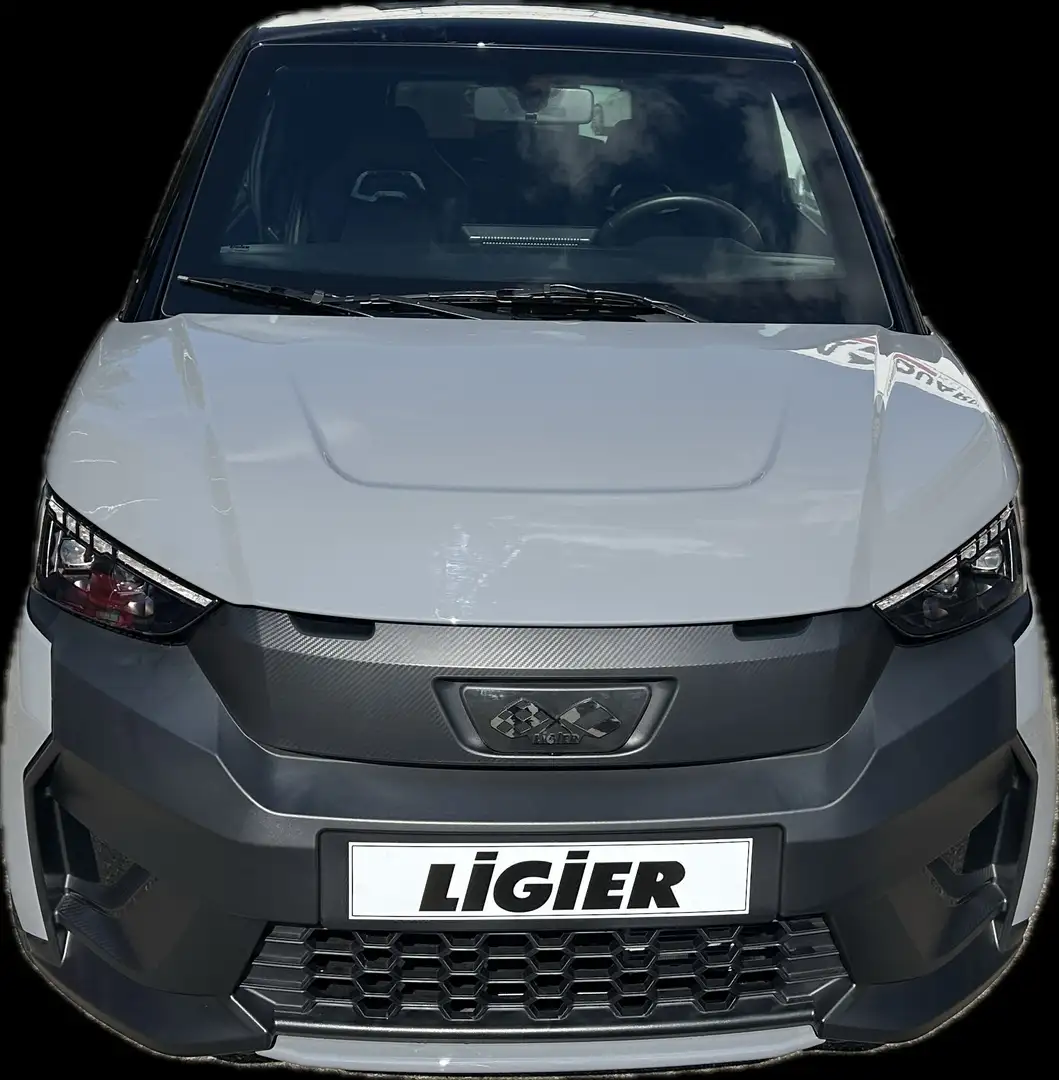 Ligier JS 50 Sport Ultimate Grau - 2