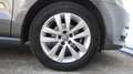 Volkswagen Polo 1.4 TDI BMT Advance 66kW Gris - thumbnail 24