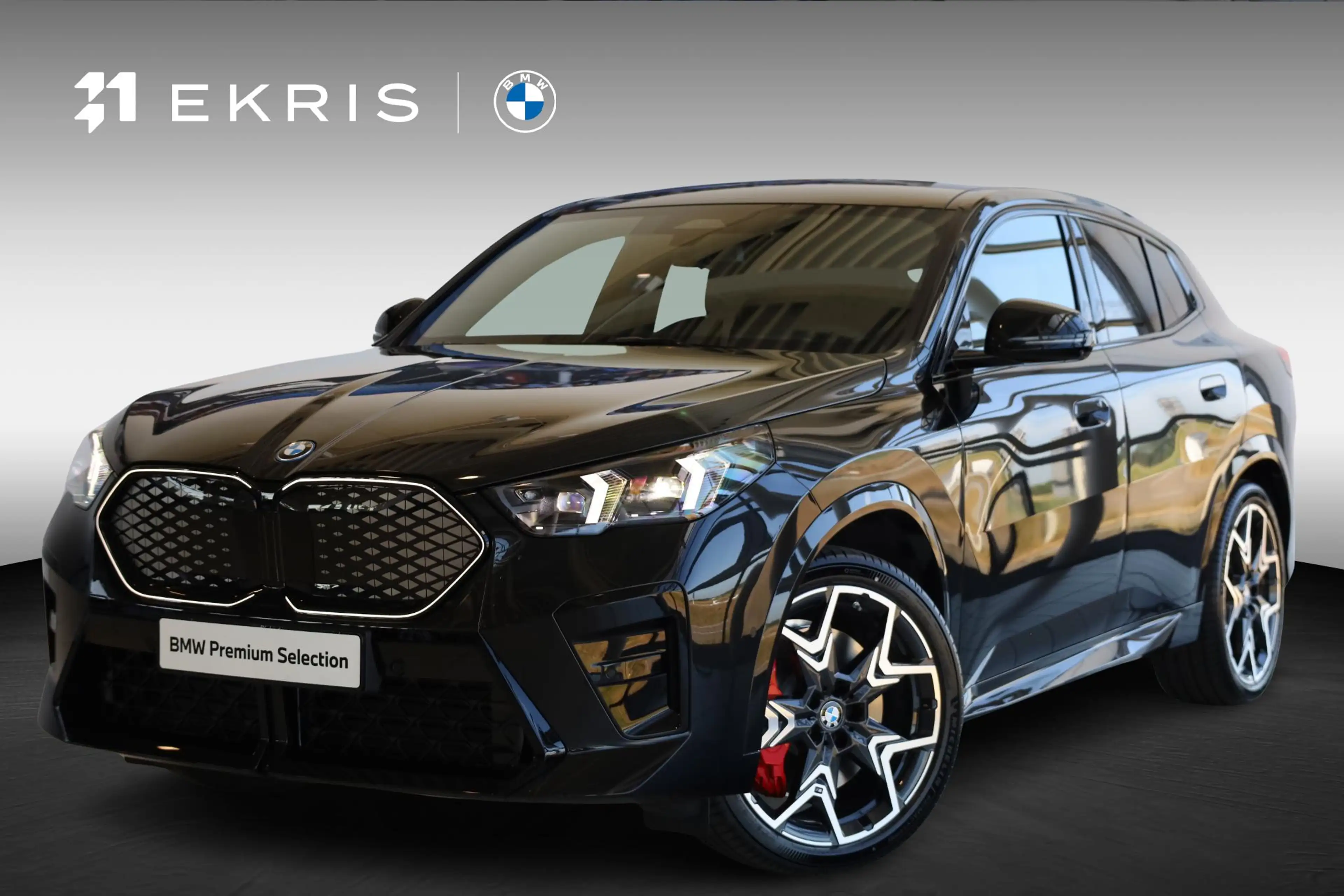 BMW iX2 eDrive20 | M Sport Pro | Panoramadak | Harman/Kard