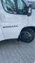 Fiat Ducato WINGAMM 610 ST ListenP mit Zubehör 151.835 € Weiß - thumbnail 3
