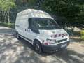 Ford Transit CHASSIS DBLE CAB PROPULSION 350 ELJ TDCi 100 - thumbnail 2