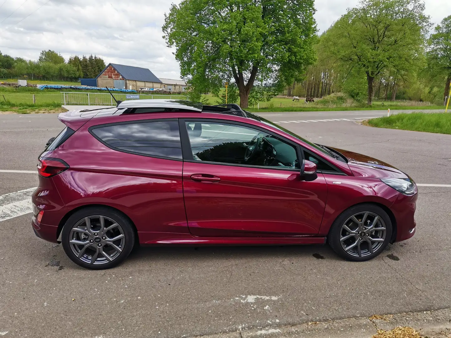 Ford Fiesta Fiesta 1.0 EcoBoost MHEV ST-Line Violet - 2
