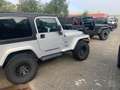 Jeep Wrangler -JEEPS KAATSHEUVEL AMERICARS.NL- - thumbnail 5