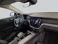 Volvo V60 B4 B DKG Plus Dark Licht-Paket * Pano Weiß - thumbnail 12