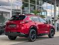 Mazda CX-5 G165 6AT HOMURA Rouge - thumbnail 7