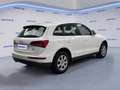 Audi Q5 2.0 TDI 150 CV quattro Weiß - thumbnail 4