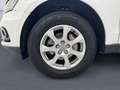 Audi Q5 2.0 TDI 150 CV quattro Weiß - thumbnail 5