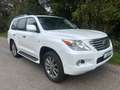 Lexus LX 570 Toyota Land Cruiser 200-Series) 8 persoons Benzine Blanc - thumbnail 17