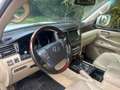 Lexus LX 570 Toyota Land Cruiser 200-Series) 8 persoons Benzine Blanc - thumbnail 6
