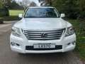 Lexus LX 570 Toyota Land Cruiser 200-Series) 8 persoons Benzine Blanc - thumbnail 18