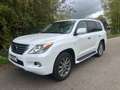 Lexus LX 570 Toyota Land Cruiser 200-Series) 8 persoons Benzine Blanc - thumbnail 1