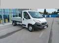 Fiat Ducato Ducato Maxi 35 MH1 2.3 mjt 130cv carro E6 Bianco - thumbnail 2